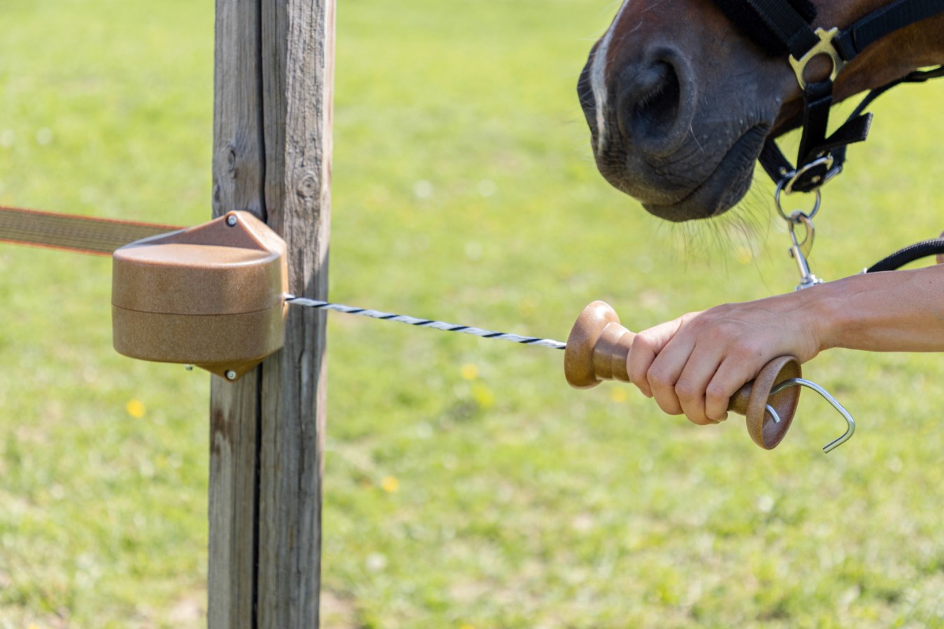 Gate Set FLEXIGATE green,Rutlan  - Kerbl UK Ltd