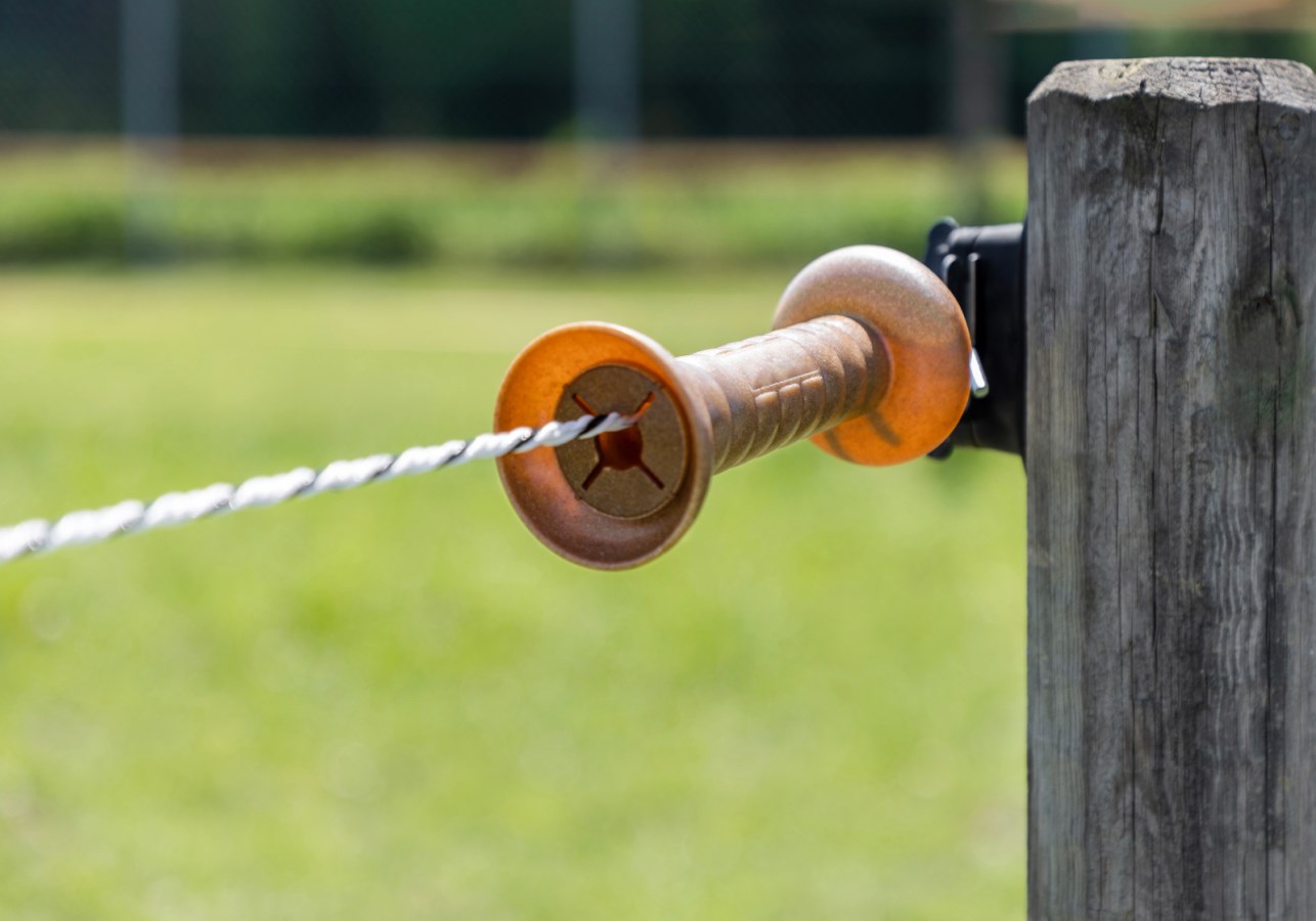 Gate Set FLEXIGATE green,Rutlan  - Kerbl UK Ltd