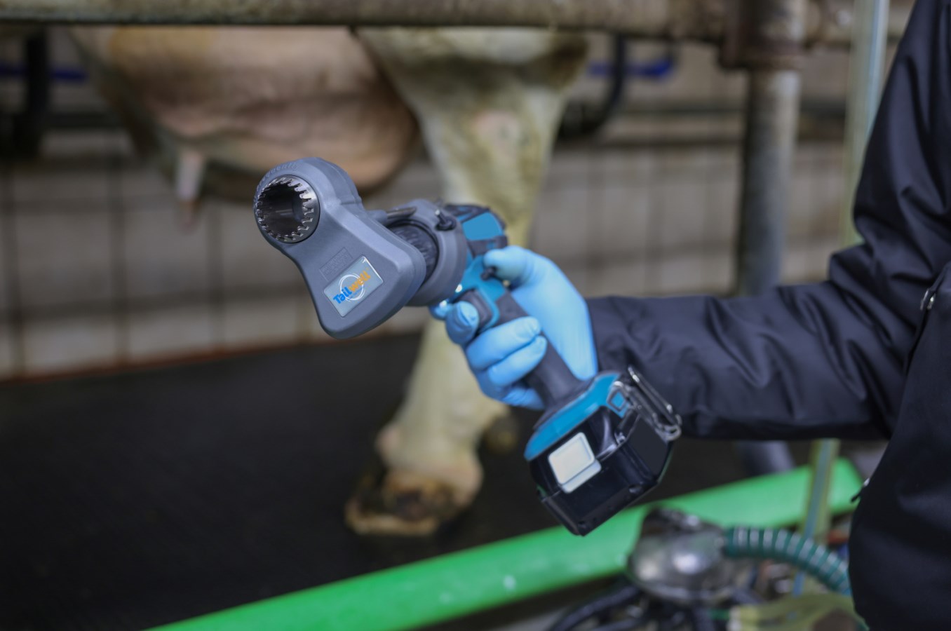 Tagliacode Kerbl Tailwell II - Per Mucche, Facile Da Usare, Con Pasta Abrasiva E Valigetta