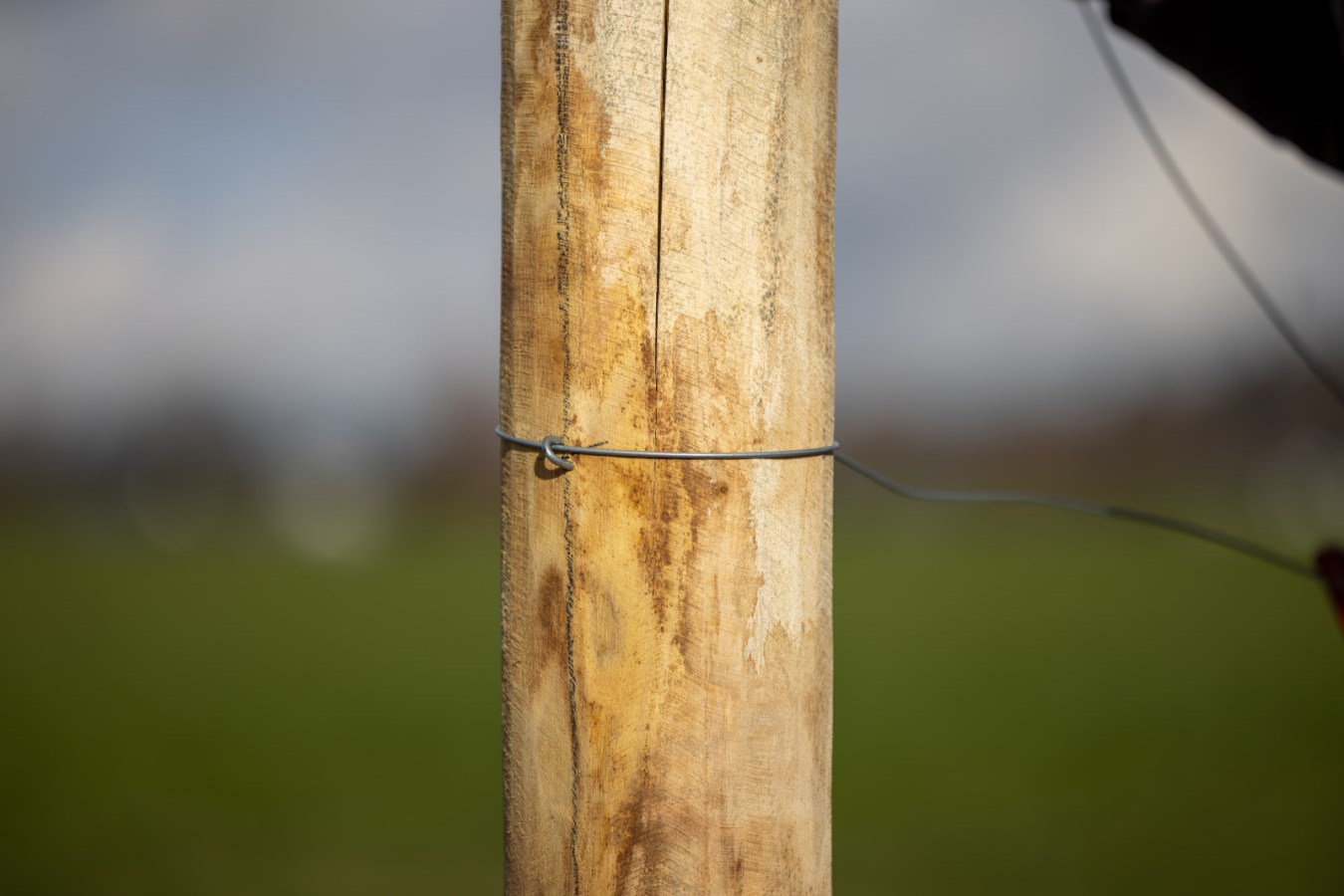 Staples,Rutland Fencing,Permane ... - Kerbl UK Ltd