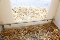 Threshold Metal for PE Hut