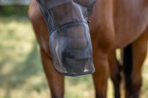 Fly Mask with Ear and Nose Protection