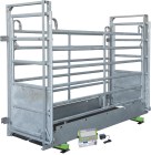 Animal Scales AniScale